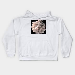 Dendritic cell, SEM (C016/4763) Kids Hoodie